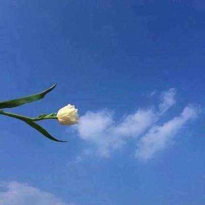 女皇养成记正版官方下载