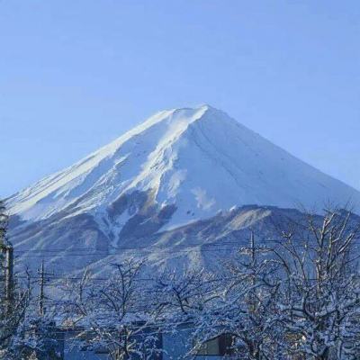 界王手游果盘版下载