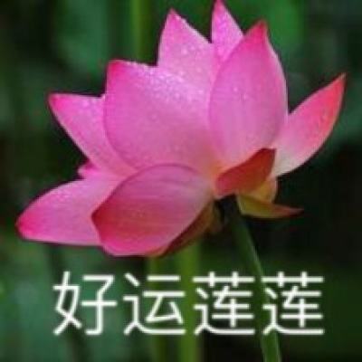 pc游戏模拟器手机版下载